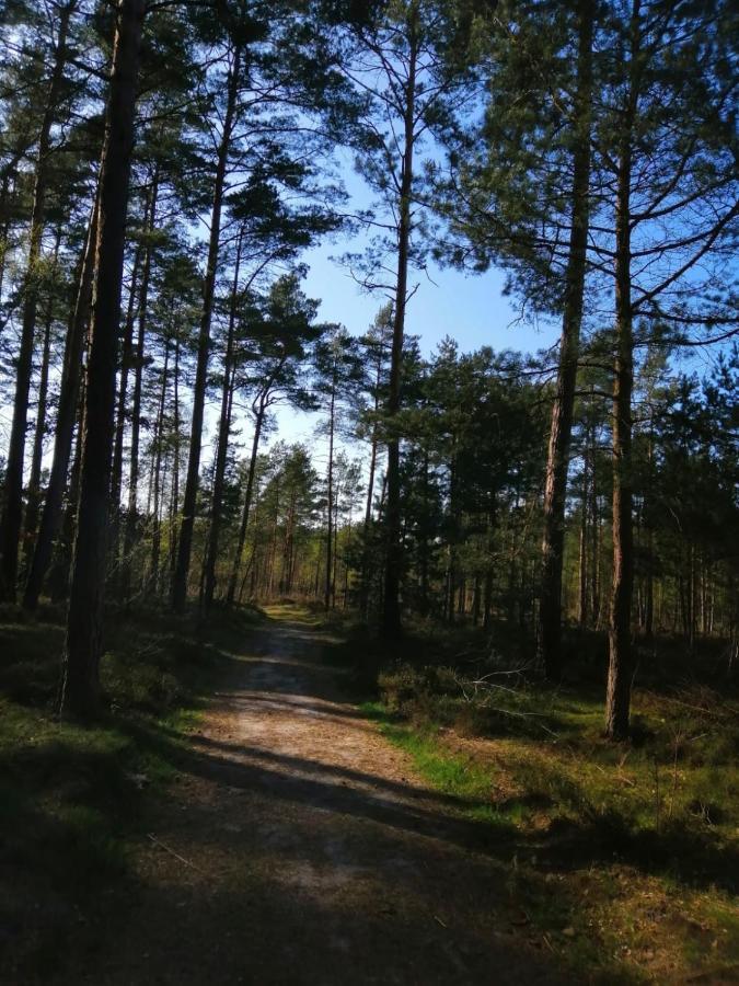 Domek Na Lesnej Pogorzelica  Exteriör bild