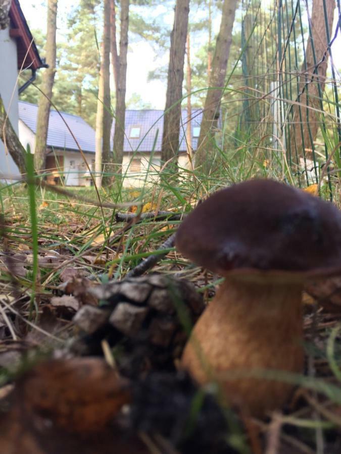 Domek Na Lesnej Pogorzelica  Exteriör bild